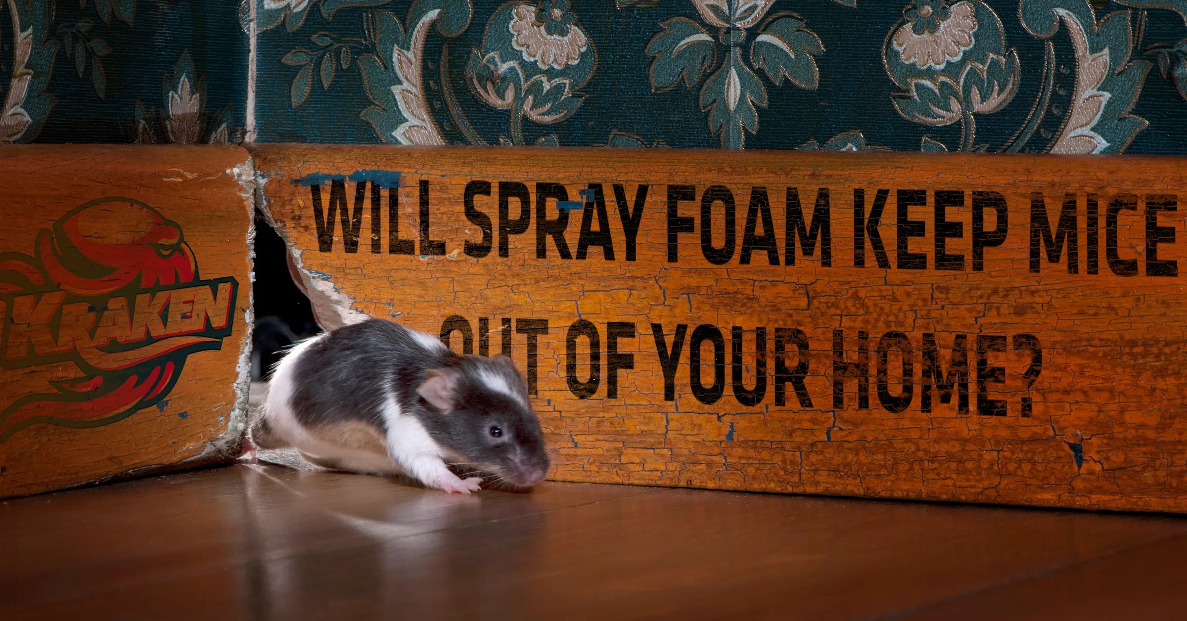 Will Spray Foam Keep Mice Out Of Your Home?