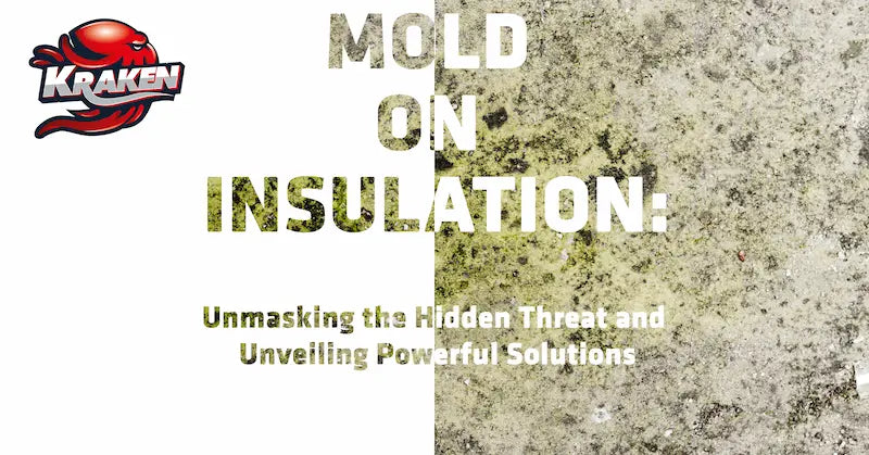Mold on Insulation Unmasking the Hidden Threat & Unveiling Powerful Solutions