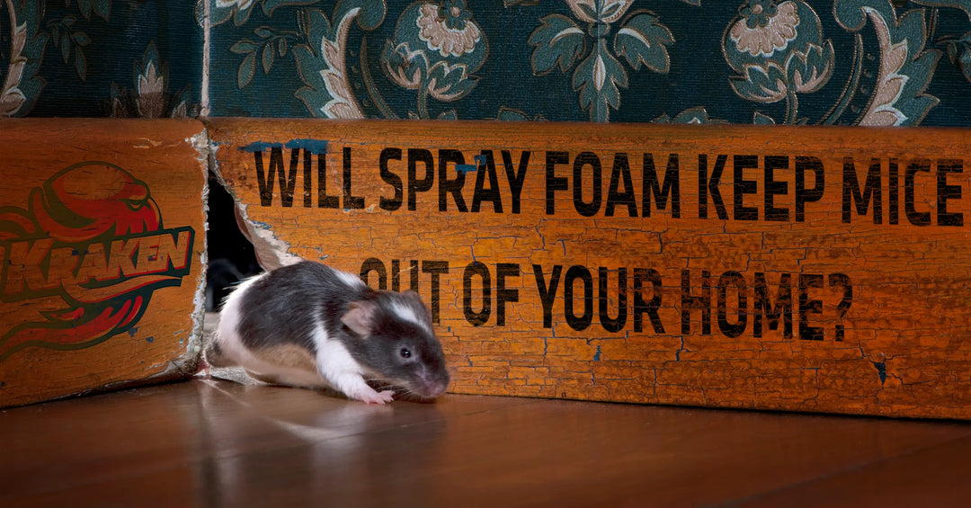 Will Spray Foam Keep Mice Out Of Your Home